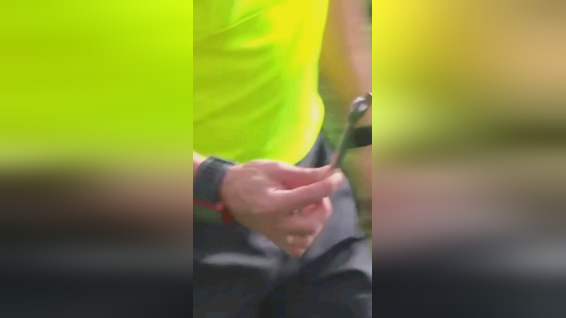 积极的比