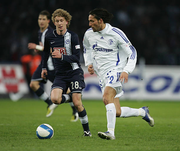 都能让观众 都能让观众